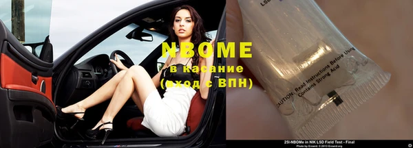 прущие грибы Новодвинск