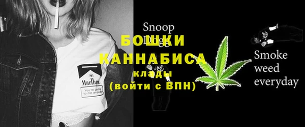 прущие грибы Новодвинск