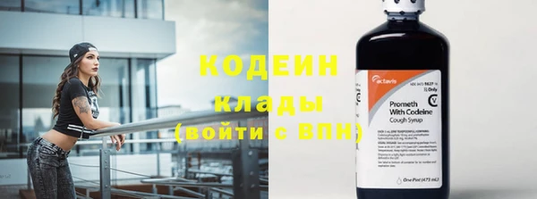 прущие грибы Новодвинск