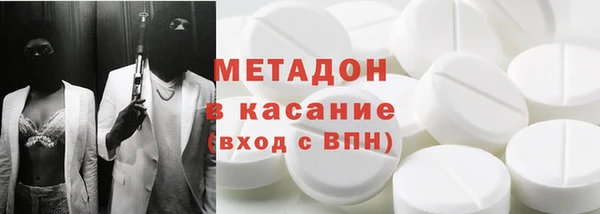 прущие грибы Новодвинск