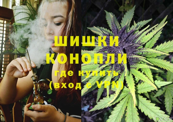 прущие грибы Новодвинск