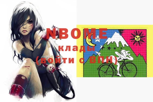 прущие грибы Новодвинск