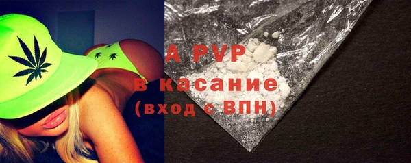 прущие грибы Новодвинск