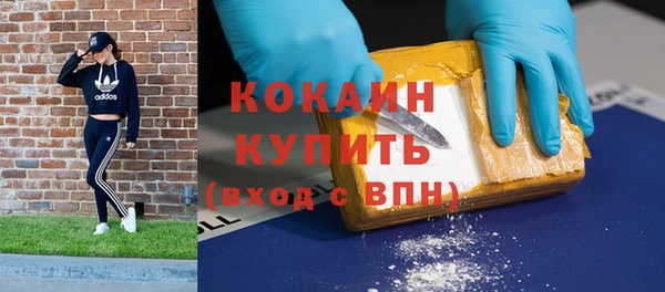 прущие грибы Новодвинск