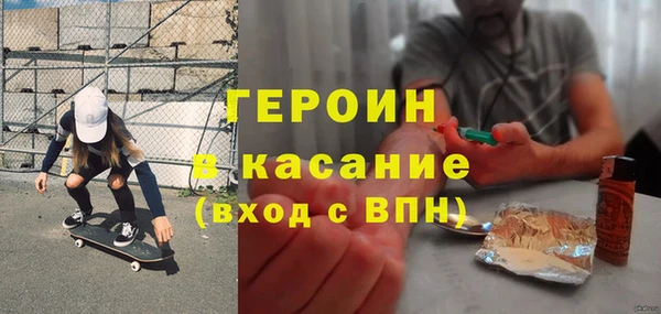 прущие грибы Новодвинск