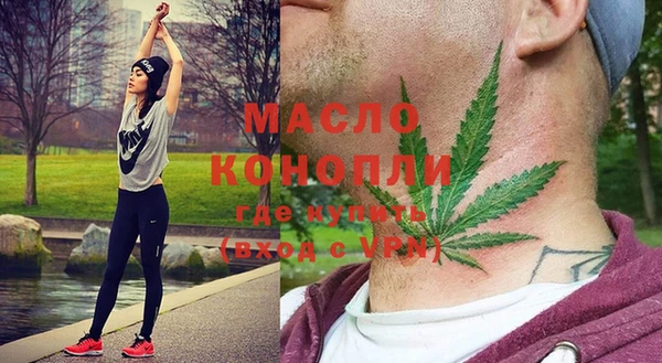 прущие грибы Новодвинск