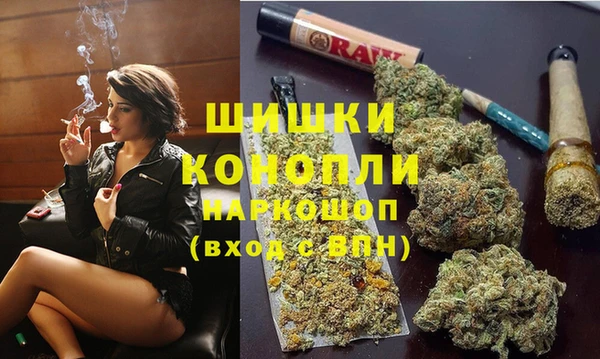 МДПВ Новозыбков