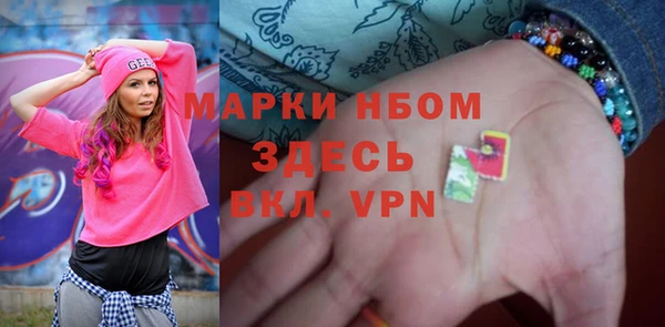 прущие грибы Новодвинск