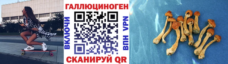Галлюциногенные грибы ЛСД  Сельцо 